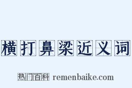 横打鼻梁近义词是什么意思的图片
